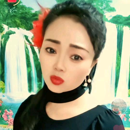 杨柳来了
