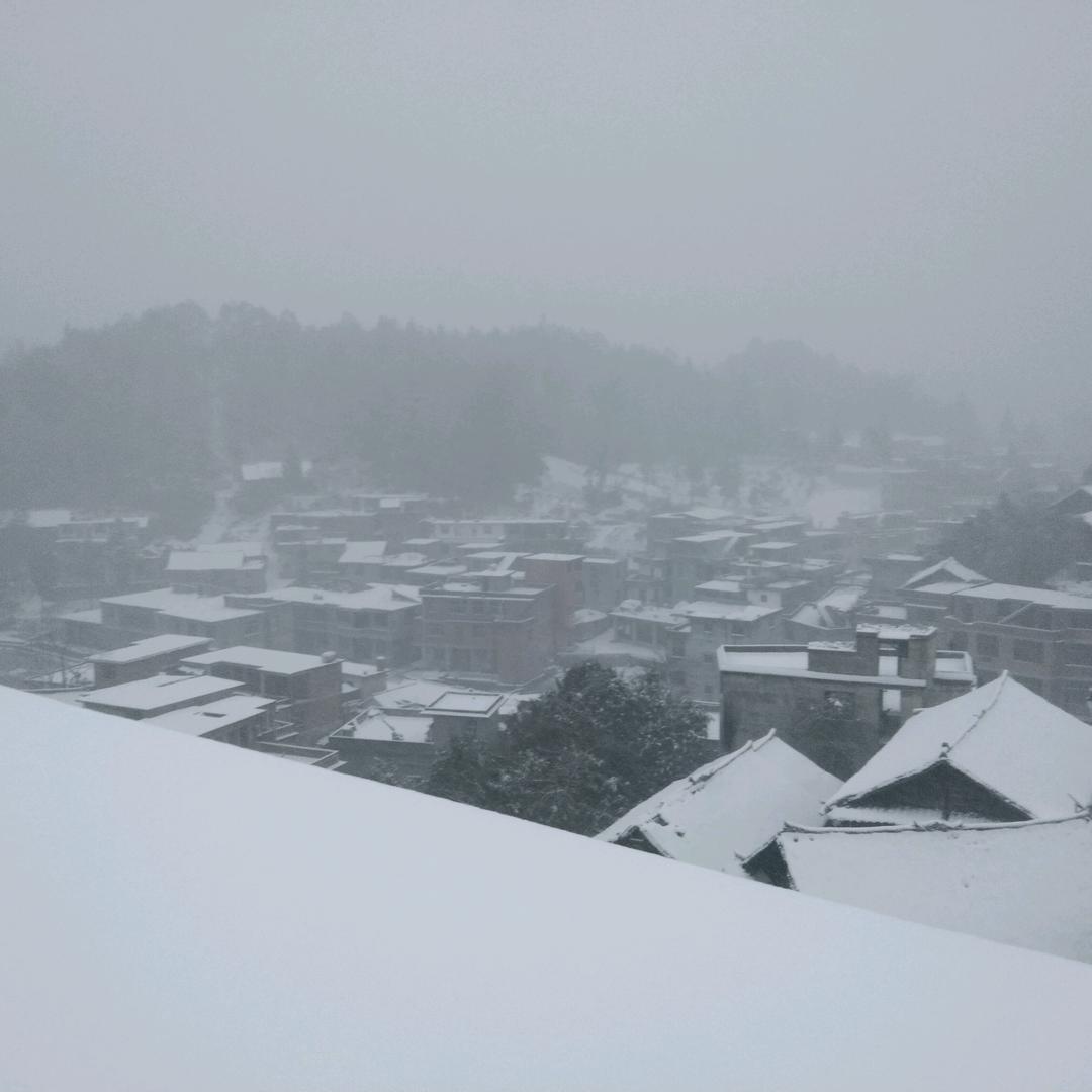 小九。