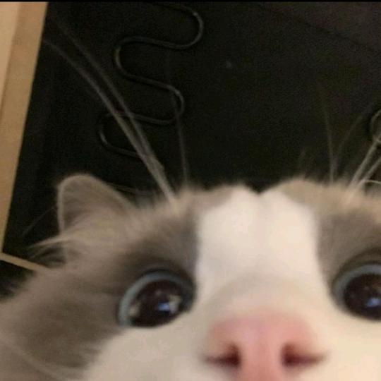 妙音