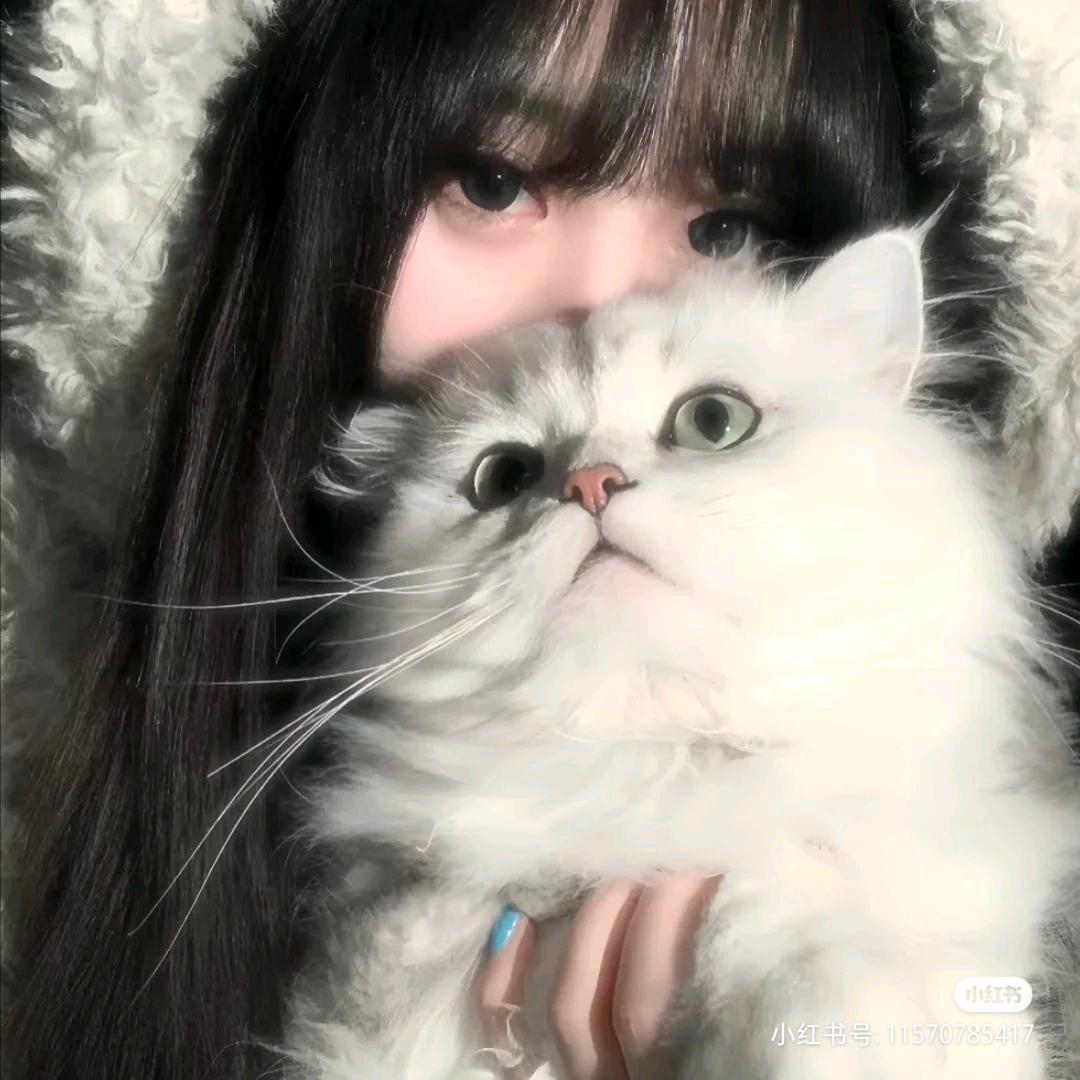 懒～