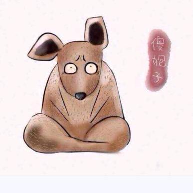 傻狍子 🦌