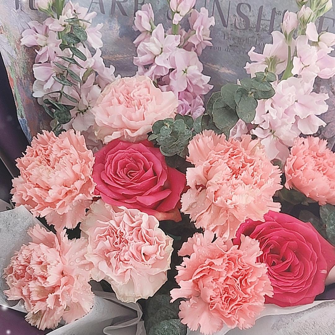 菇凉的生活