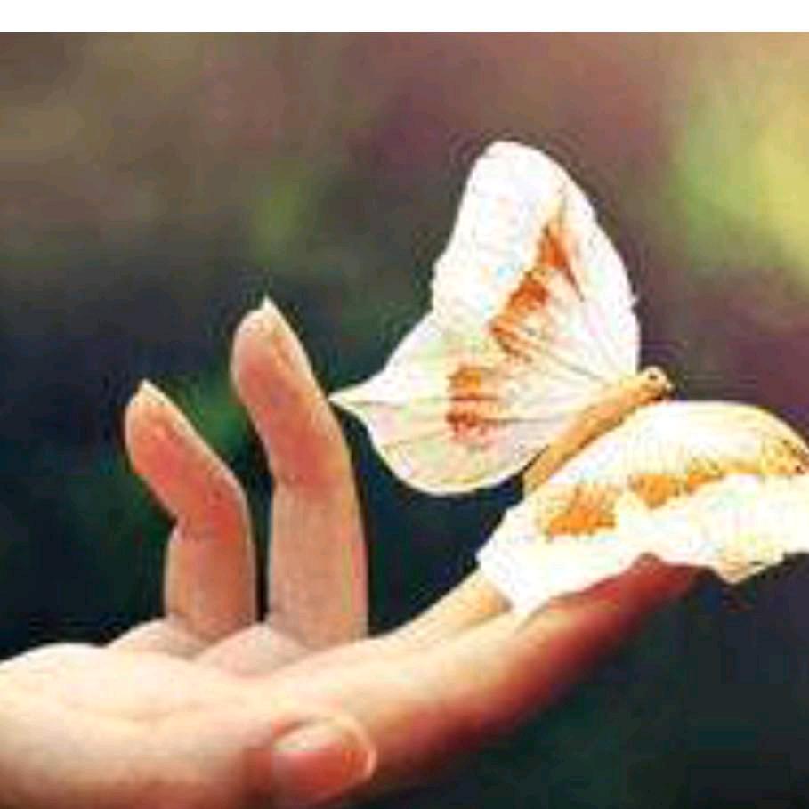 余生᭄🦋ꦿ随❤️᭄ꦿ