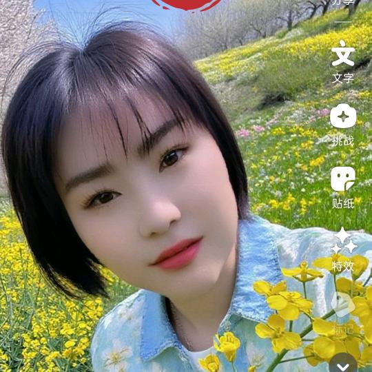 山菊