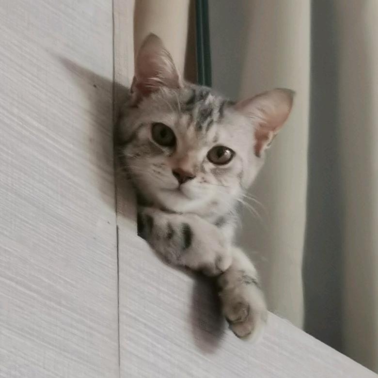 开心饮水机¹²ˣ²⁼