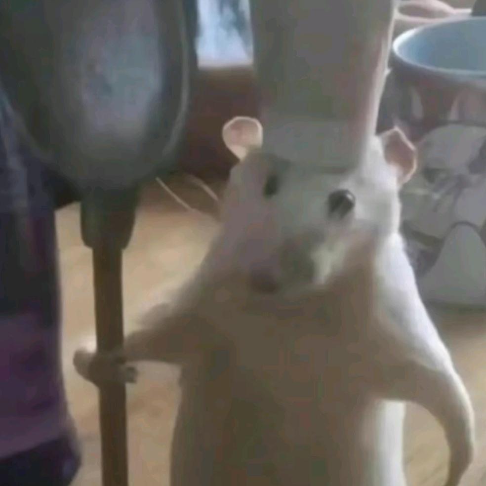 。(●—●)，