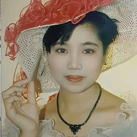 快乐的小燕子
