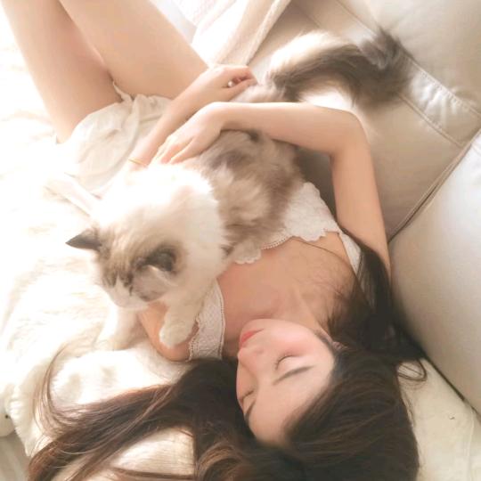 细雨里