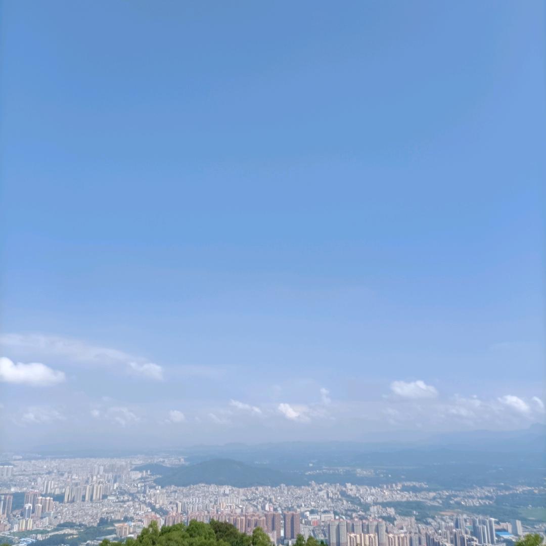 梦中情人