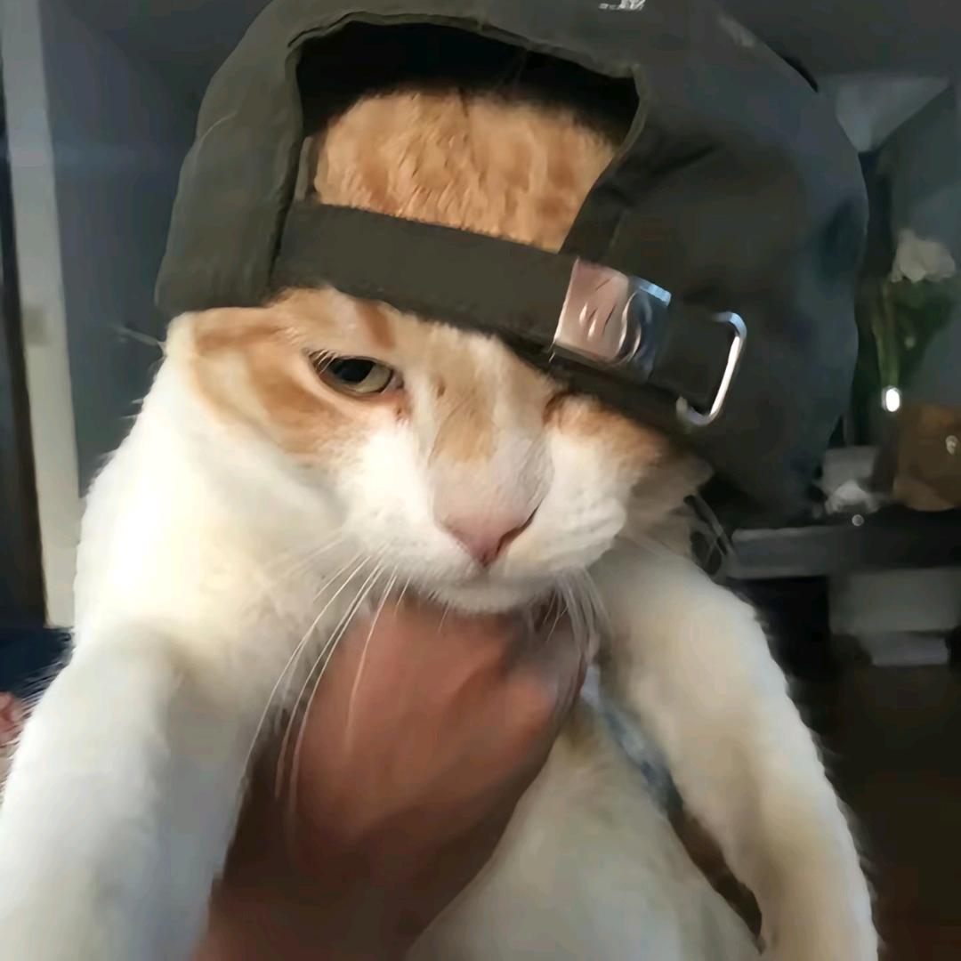啊刘