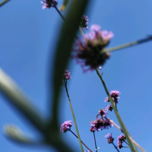 手机用户61858380071