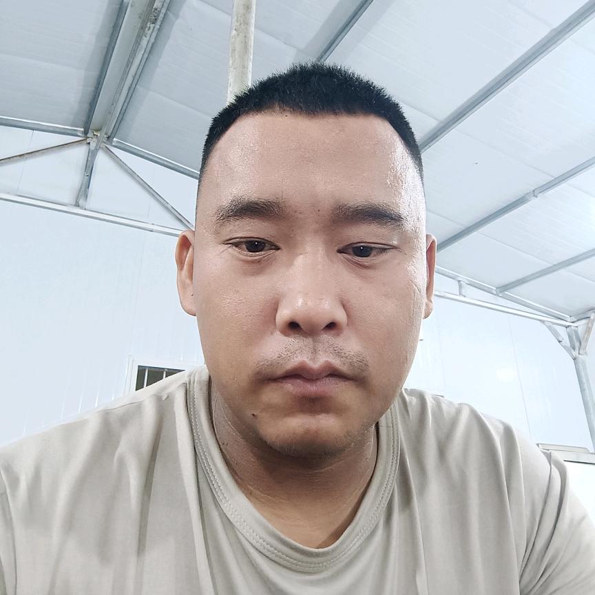 骑着蚊子赶火车