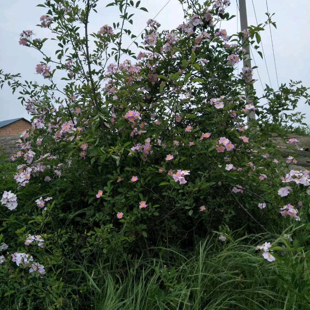 人生如戏？戏如人生！