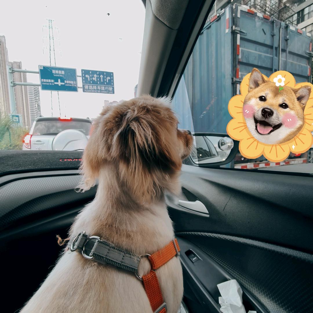 🌞蓝天抱白云☁️