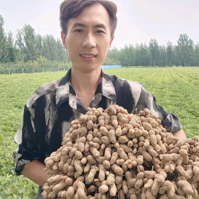 滕飞农资让花生更高产
