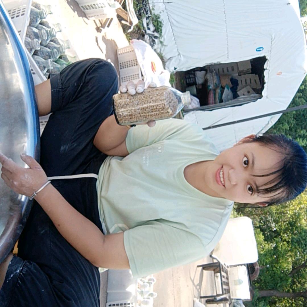 高沙豆腐妹（袁丹）