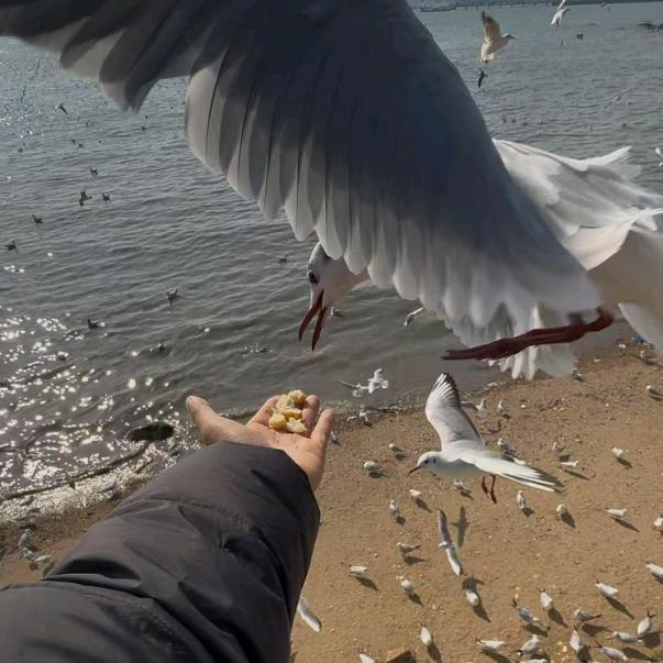 ☝🏻