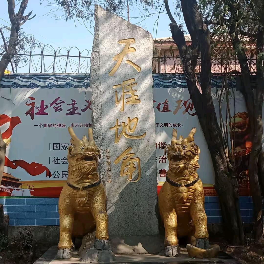 洇沩