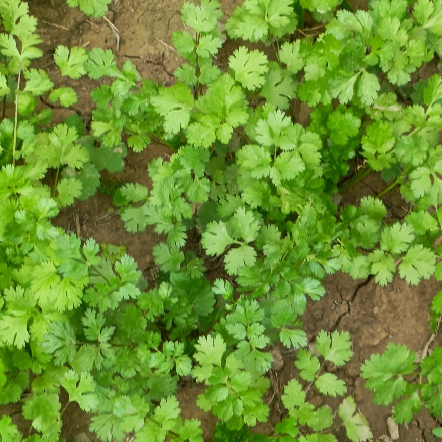 改变不了别人，该变自己