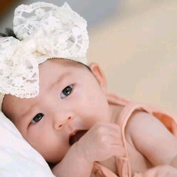 高梦雨独宠高姐