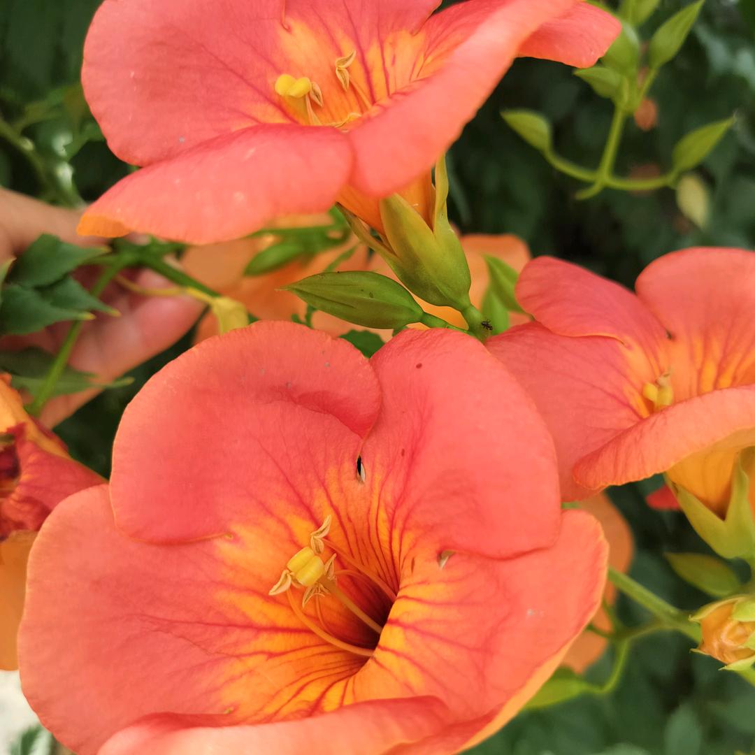 往事清零，从头再来✊