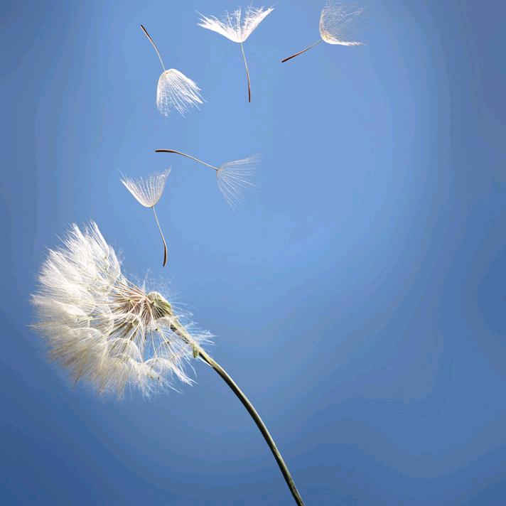 梁湾华隆生活购物