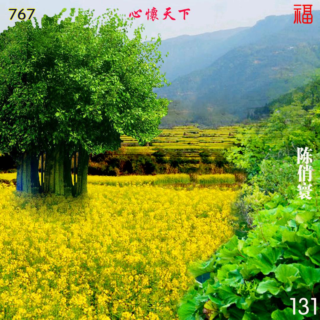 陈俏寰