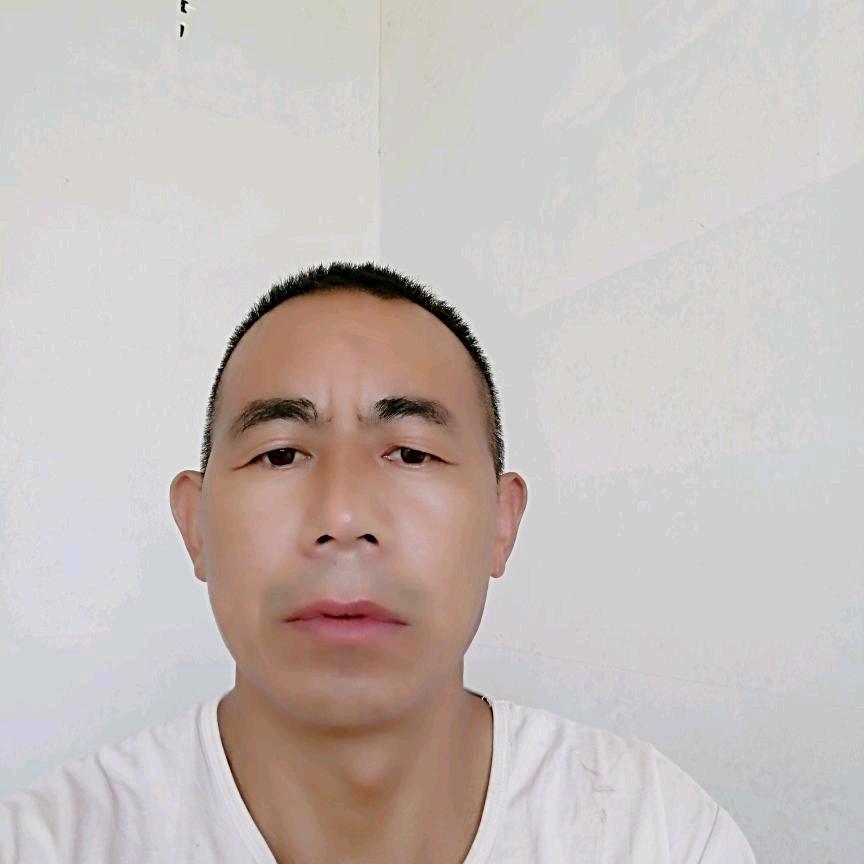 阳光就在风雨后