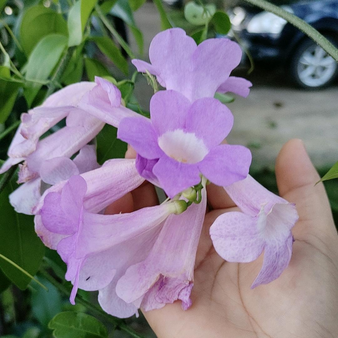 🌴️人生无常🌴️岁月如梭🌴️