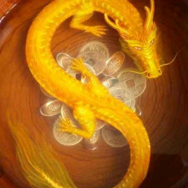 幸运面华北销售总监郭志伟