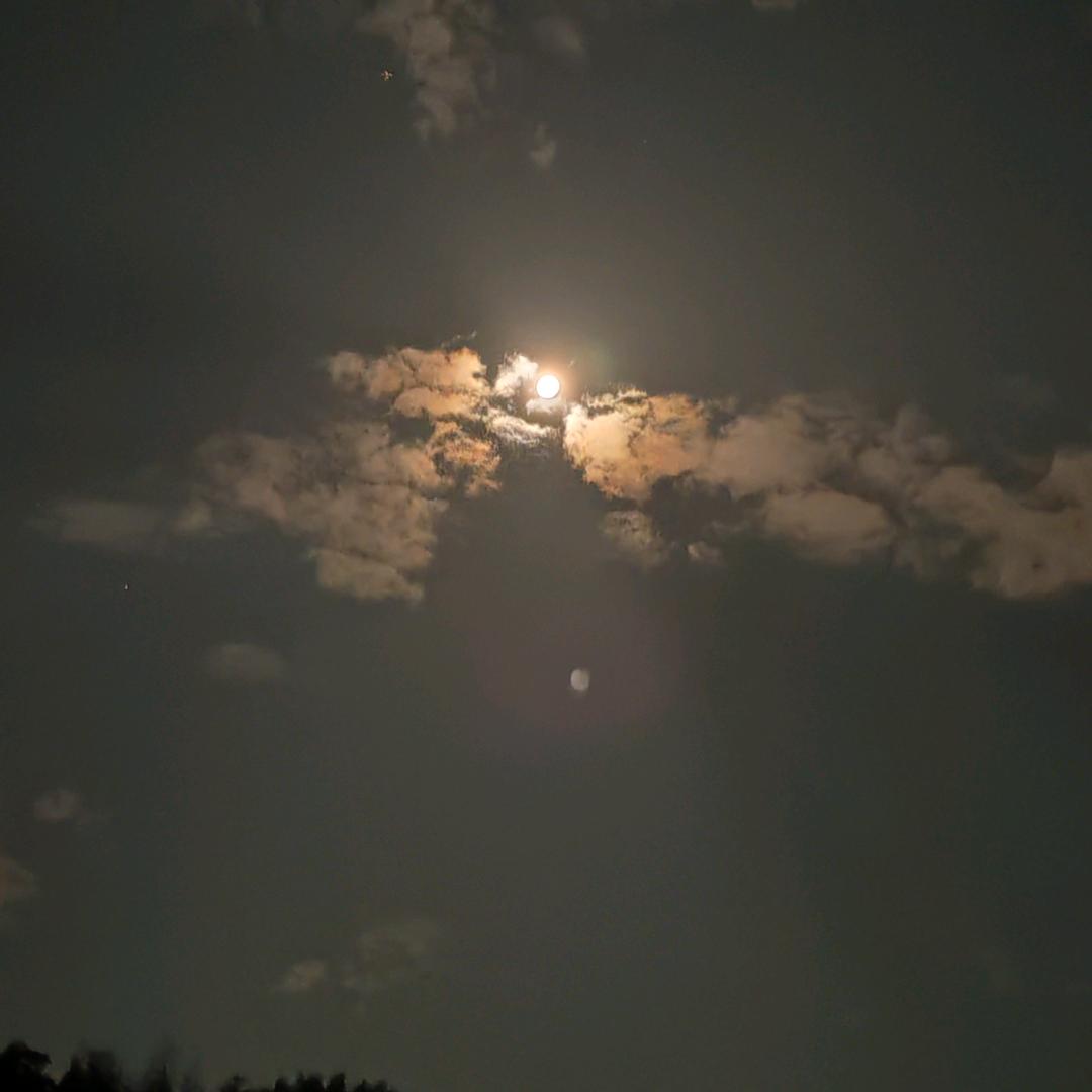 清然雨露
