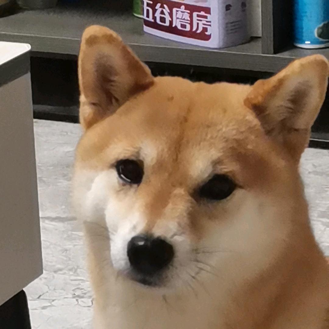 十三·舒畅