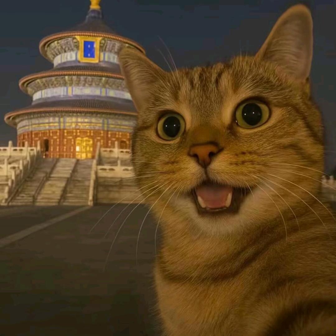 世界精彩亦纷扰