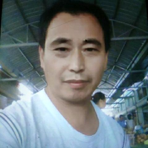 展坤礼)伍家合作社 蔬菜瓜果 种植横沙岛