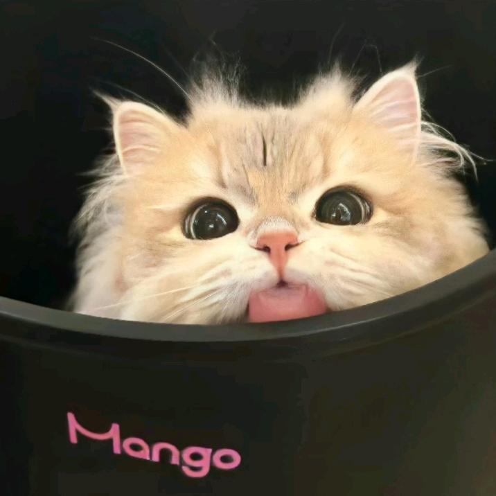 小可爱～