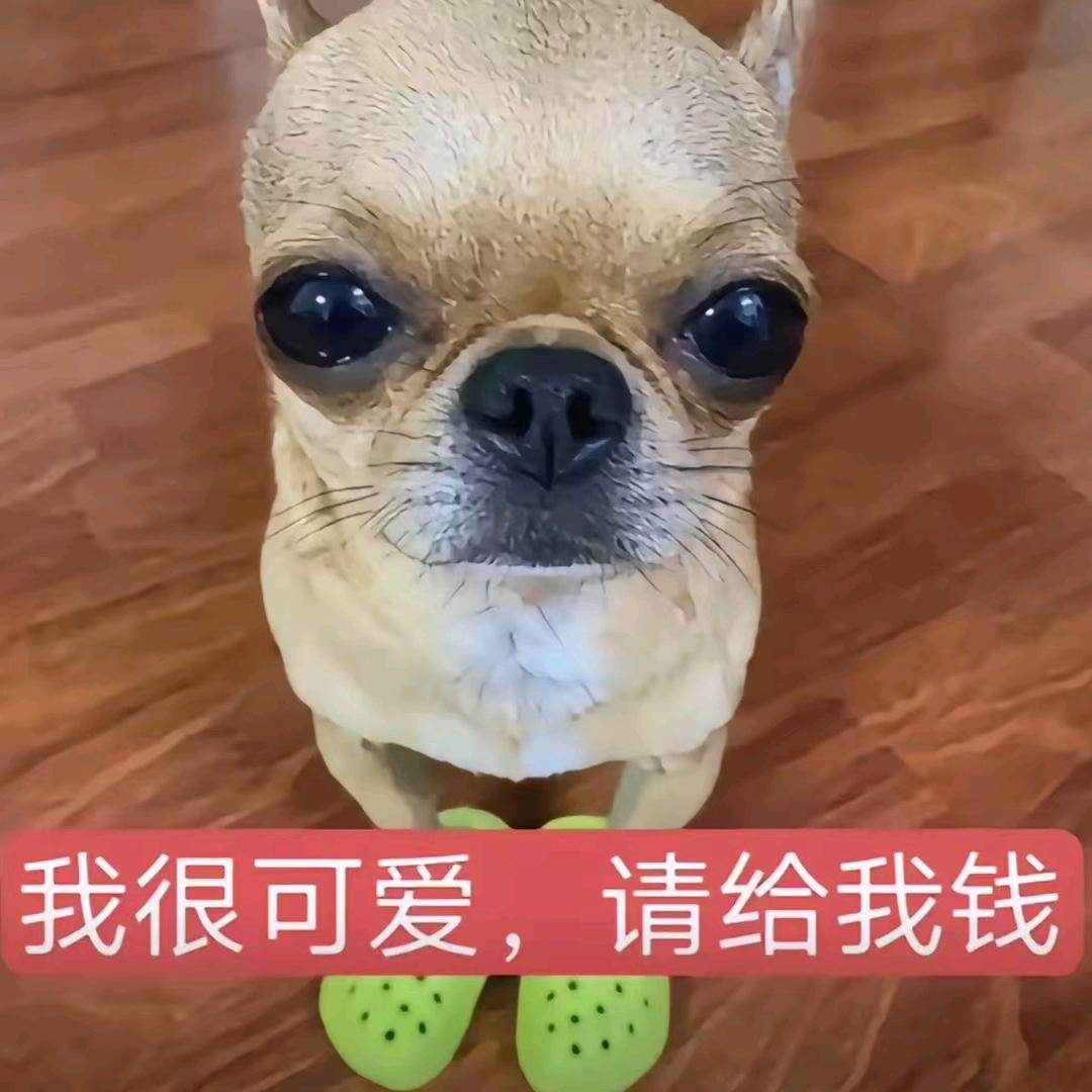 小慧大王