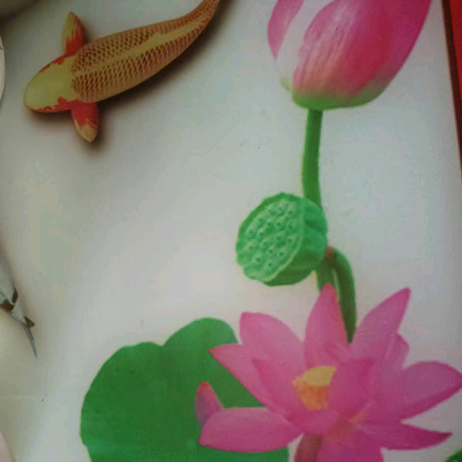 王姐爱唱歌🎤🎤🎤