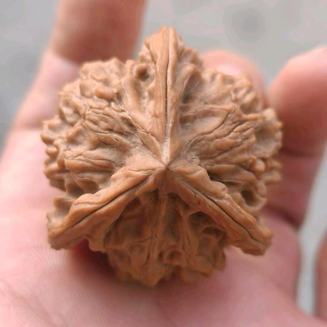 轩歆文玩馆