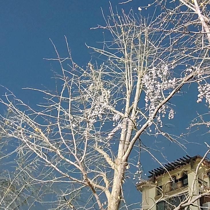 💃🏻晚风渡姐👠