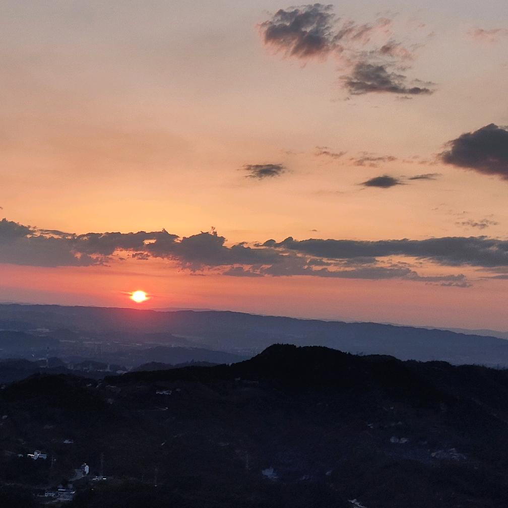 幽兰 🌱（拒绝私聊）