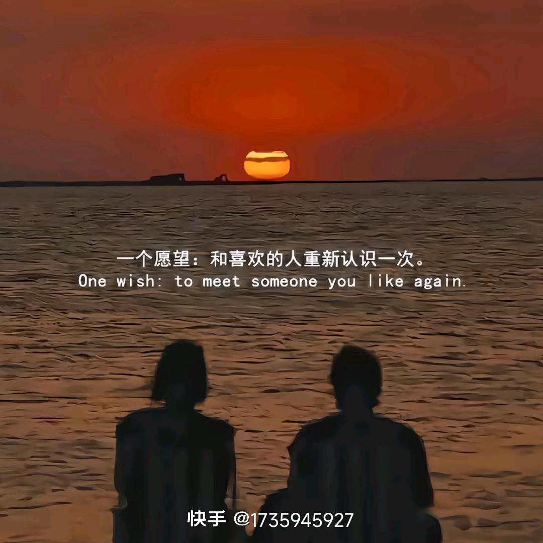 茤茤