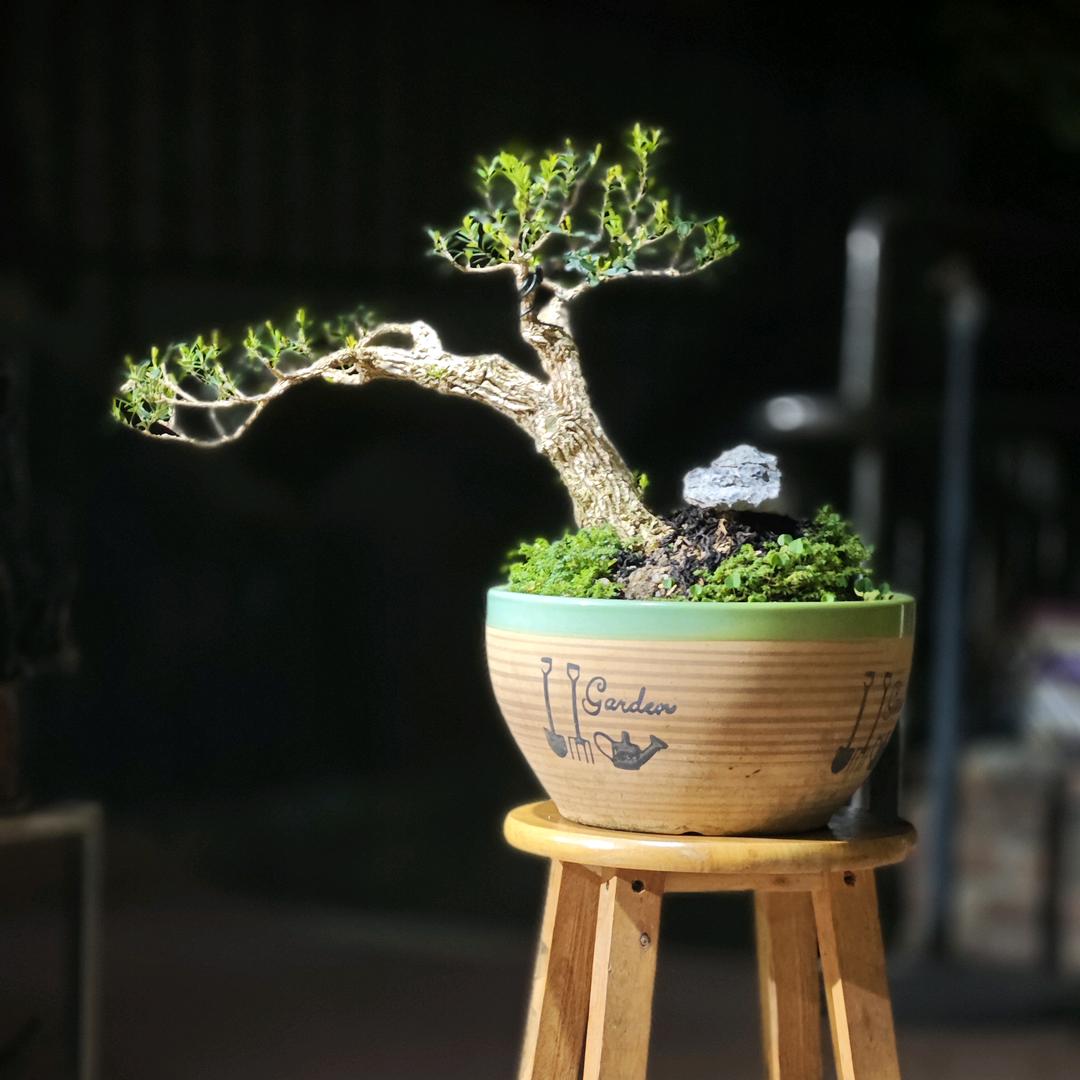 粤R