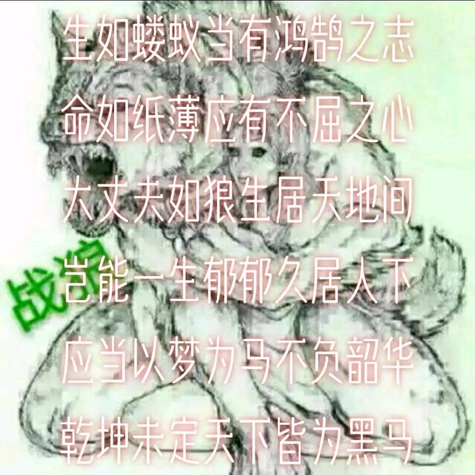 🐺战狼顺发店🐺
