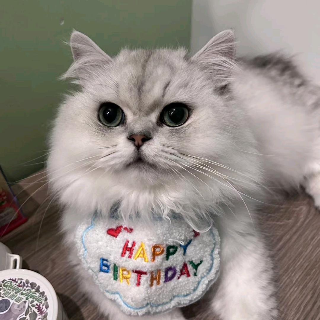 淮南牛肉汤（凤凰茶城夜市）