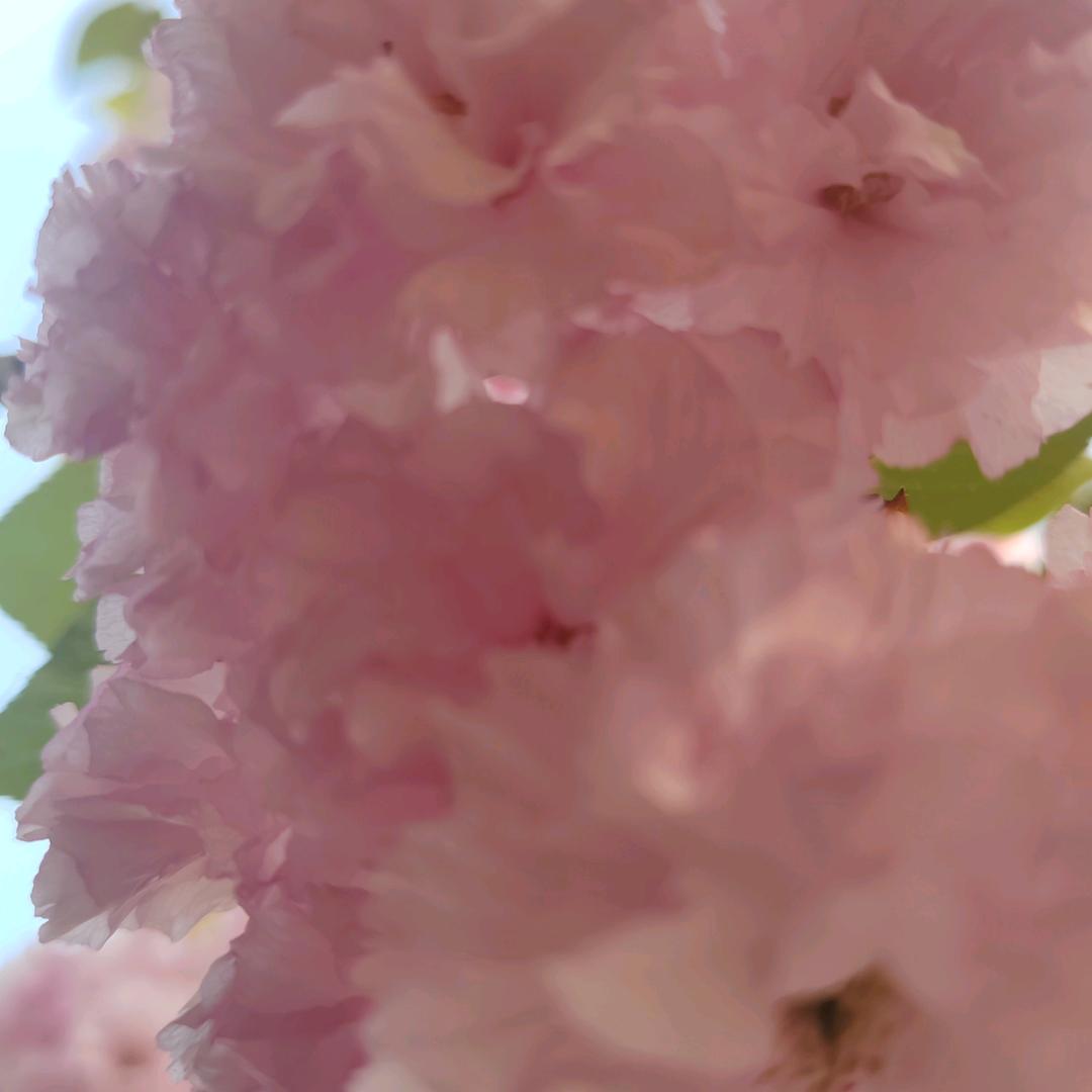 邻居老陈