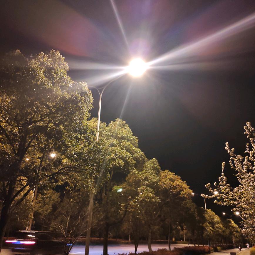 不落的太阳，🙋