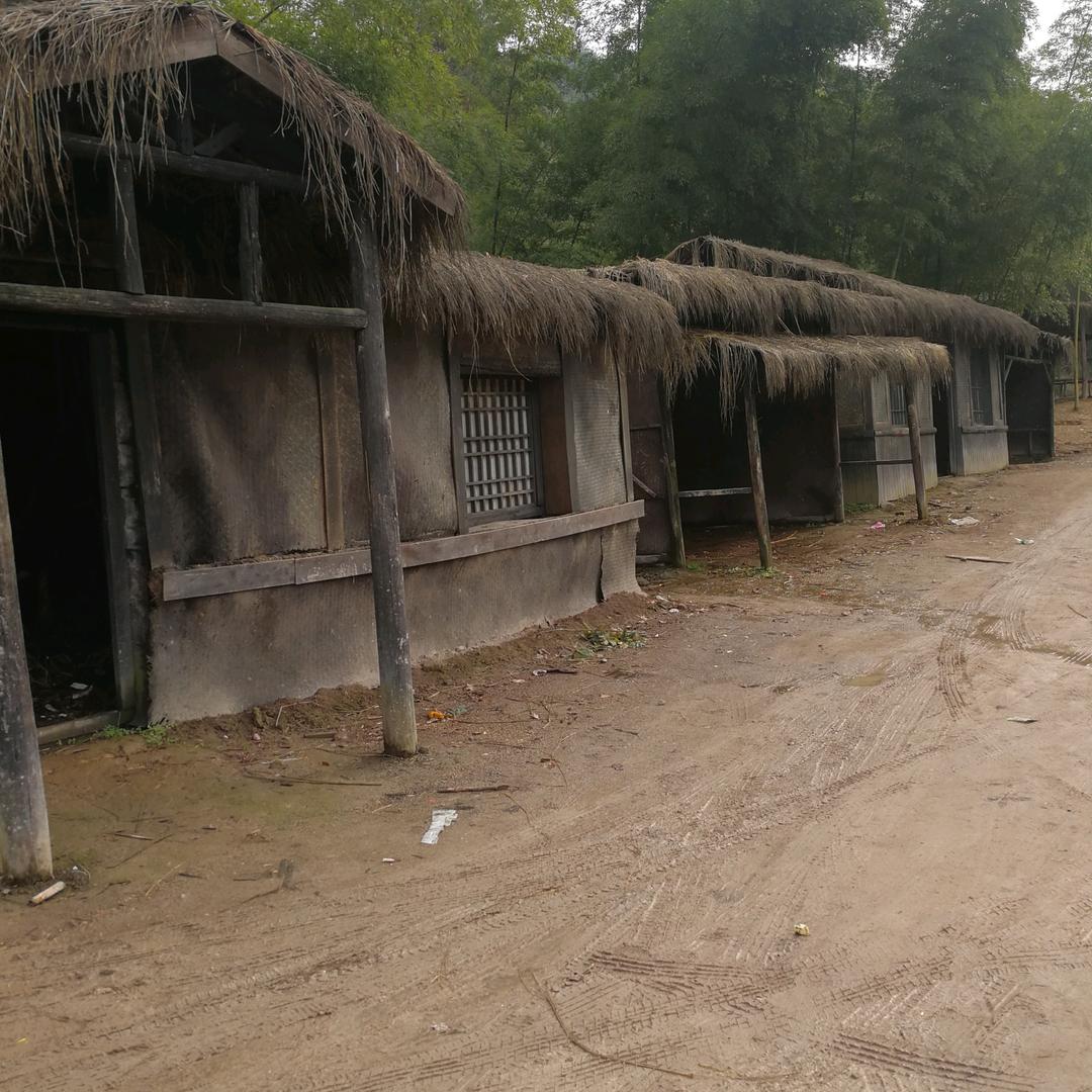 潘哥