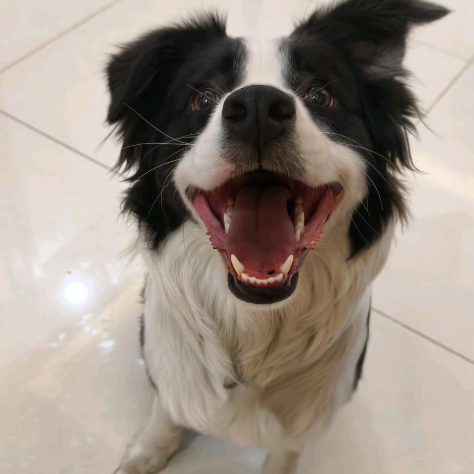 豆包小货铺