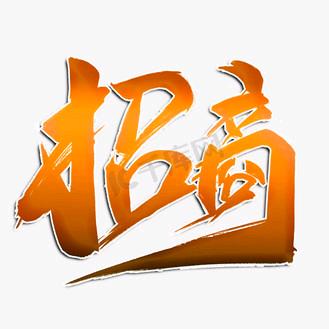 定制开发、各种低价位系列产品。