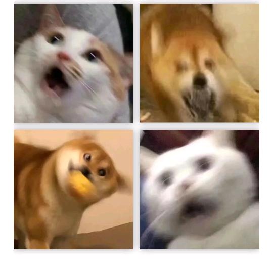 月下